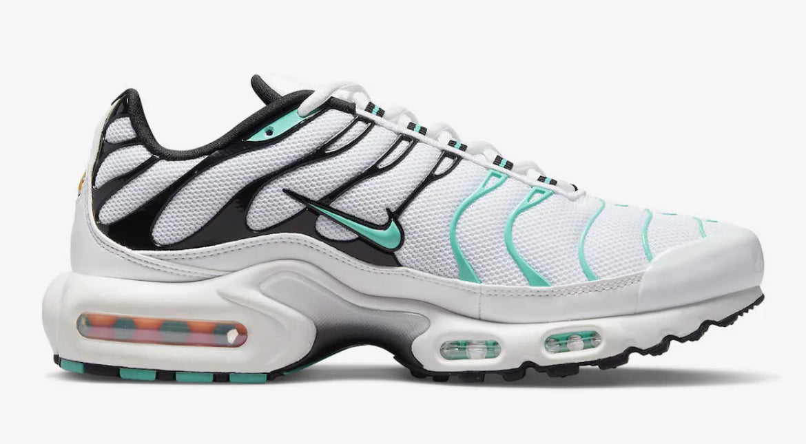 Nike Air Max Plus - Atmos Tiffany